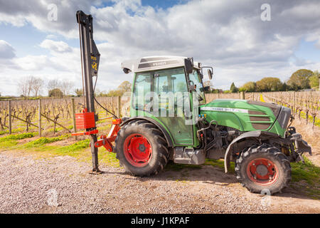 Tractor used on a British English Vineyard, Halfpenny Green, Staffordshire in spring UK Stock Photo