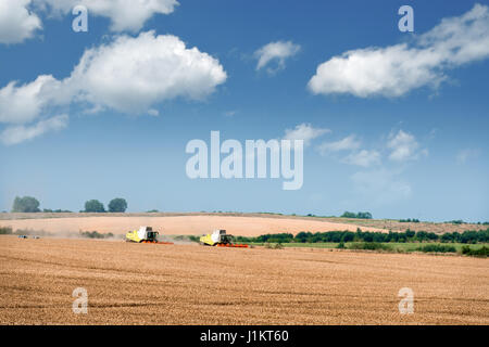 Amazing rural scene on autumn field with harvester and birds. Stock Photo