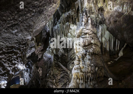 Stalactites, column and cave draperies suspended from ceiling in the Caves of Han-sur-Lesse / Grottes de Han, Belgian Ardennes, Belgium Stock Photo