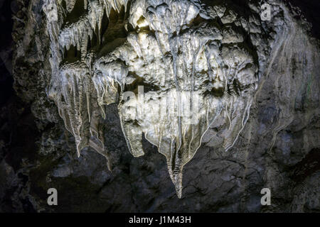 Flowstone / cave drapery, sheetlike deposit of calcite suspended from ceiling in the Caves of Han-sur-Lesse / Grottes de Han, Ardennes, Belgium Stock Photo