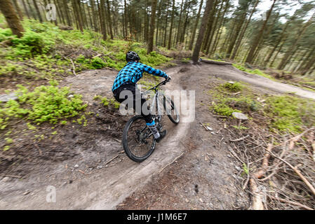 Mountain biking in Surrey hills - action shot Stock Photo