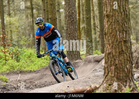 Mountain biking in Surrey hills - action shot Stock Photo