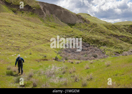 Franklin County, Washington: Man hiking the White Bluffs along the Columbia River in Hanford Reach National Monument. Across the river is the Hanford  Stock Photo