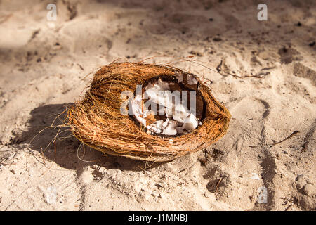 open coconut on the beach Stock Photo