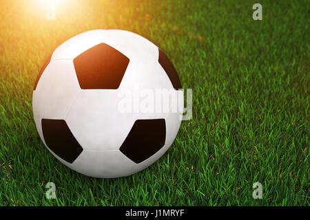 Soccer Football Ball on the Grass 3D Rendered Illustration. Stock Photo