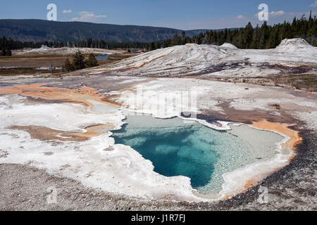 Doublet pool with mineral deposits, at back Lion Group, Upper Geyser Basin, Yellowstone National Park, Wyoming, USA Stock Photo