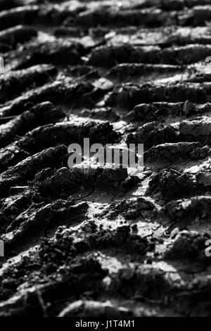 Macro Tractor furrow in mud in black and white Stock Photo