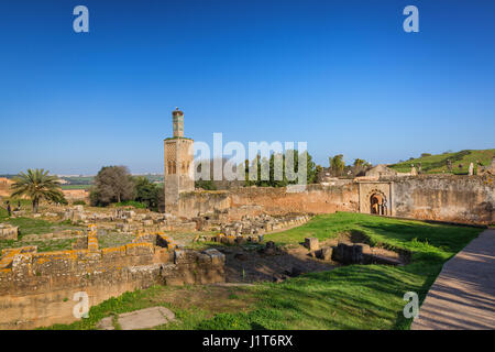 Ruins of Chellah sanctuary with 13th century minaret in Rabat, Morocco Stock Photo