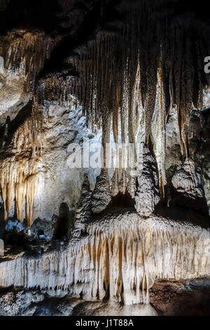 Flowstone / cave draperies, sheetlike deposits of calcite suspended from ceiling in the Caves of Han-sur-Lesse / Grottes de Han, Ardennes, Belgium Stock Photo