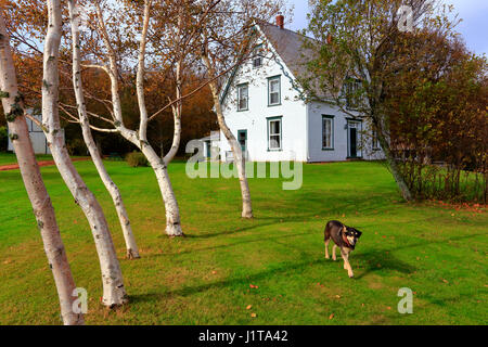 Anne of Green Gables at Silver Bush, PEI Stock Photo