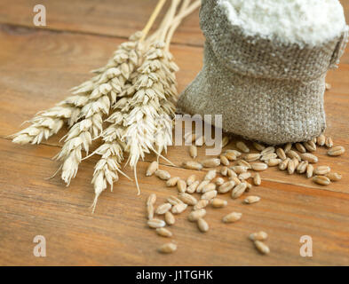 flour in sack with ears and grain on wooden table Stock Photo