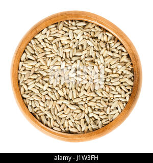 Rye grains in wooden bowl. Secale cereale, grain, cover and forage crop. Used for flour, bread, beer, whiskey, vodka and animal fodder. Stock Photo