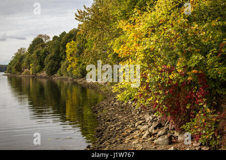 Autumn landscape with colorful trees and falling leaves reflecting in the river. Shot in Latvia. Stock Photo