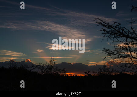 Sunset at Pa-hay-okee, Everglades National Park, FL, USA Stock Photo