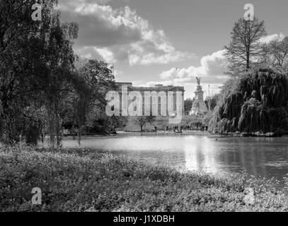 Buckingham Palace from St. James's Park, London, England, United Kingdom Stock Photo