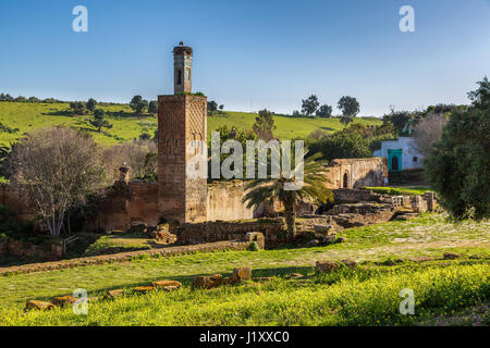 Ruins of Chellah sanctuary with 13th century minaret in Rabat, Morocco Stock Photo