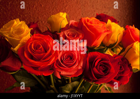 Warm light on multicolored roses in metal watering can vase Stock Photo