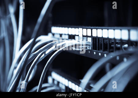 A shot of network cables connected to switches in a  data center (in blue tone) Stock Photo