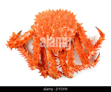 Alaskan king crab in isolated white background. Stock Photo