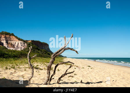 Cliffs in Taipe Beach, Arraial d'Ajuda, Porto Seguro, Bahia, Brazil. Stock Photo