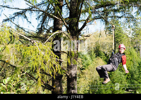 Man on zip wire in forest, Astoria, Oregon, USA Stock Photo