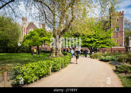 Office workers enjoying the sun in Lincolns Inn Fields on their lunch break. London, UK Stock Photo