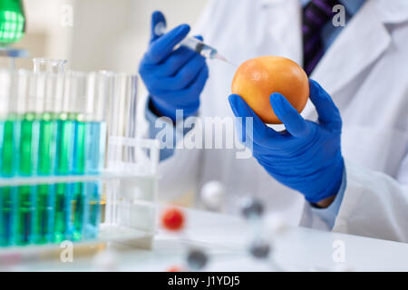 GMO experiment scientist injecting liquid into orange in agricultural research laboratory Stock Photo