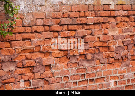 An old red brick wall in need of pointing. Stock Photo