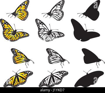 Monarch Butterfly Silhouette isolated on white background. Vector ...