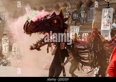 Chester, UK. 23rd April 2017. A smoke breathing dragon makes an entrance as part of the St George's day medieval street theatre performance in Chester city centre. Credit: Andrew Paterson/Alamy Live News Stock Photo
