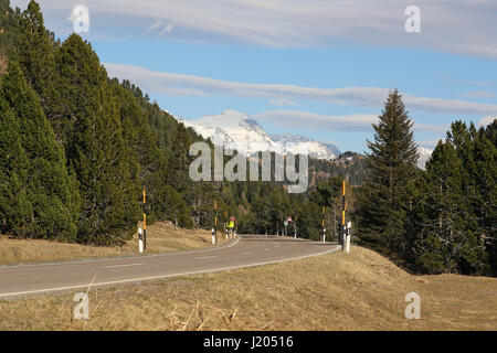 Winding empty mountain pass road going toward a pine tree forest and snow covered peaks Stock Photo