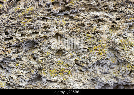 Shell rock building blocks texture or background Stock Photo