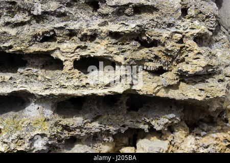 Shell rock building blocks texture or background Stock Photo