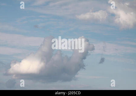Amazing real white cumulus cloud in the shape of a lying one-humped camel Stock Photo