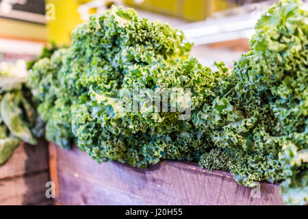 Closeup of kale greens in market store Stock Photo