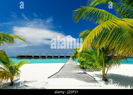 jetty to a tropical beach on the maldives Stock Photo