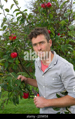 Orchardist Tom Adams in the Cambrian Railway Orchard Project in Oswestry, Shropshire, UK, with 'Jupiter' (red), a selection and grafting an apple tree Stock Photo