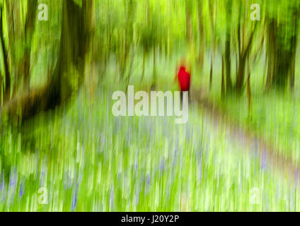 Conceptual Image of man or woman walking through woods Stock Photo