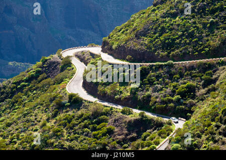 Bergstraße bei Masca, Teno-Gebirge, Parque Rural de Teno, Teneriffa, Kanarische Inseln, Spanien Stock Photo