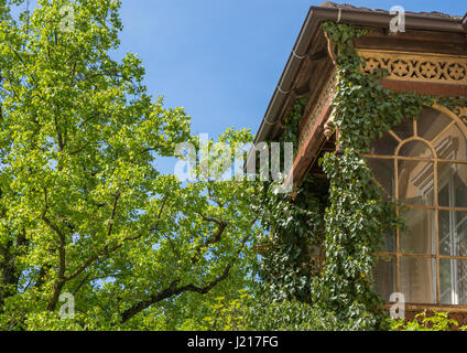 Merano (or Meran) is a city surrounded by mountains near Passeier Valley and Val Venosta (South Tyrol, Italy). the Tappeiner Promenade Stock Photo