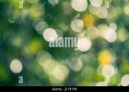 Green bokeh on nature defocus art abstract blur background Stock Photo