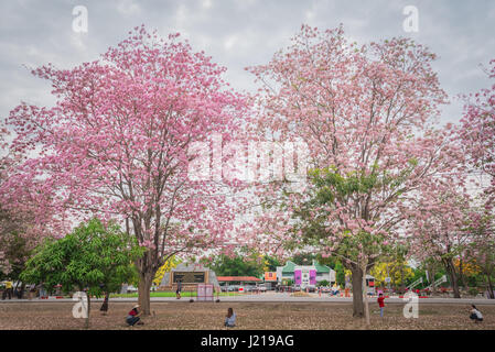 Nakornpathom, Thailand - April 17, 2017 :  Unidentified people visiting the spacious public park at Kasetsart University Kamphaeng Saen campus in Nako Stock Photo