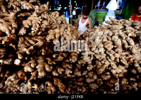 Yangon, Myanmar. 23rd Apr, 2017. Gingers are on display for sell at the Thiri Mingalar wholesale market in Yangon, Myanmar, April 23, 2017. Credit: U Aung/Xinhua/Alamy Live News Stock Photo