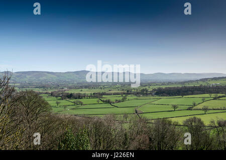 View from Denbigh Castle looking towards Moel Famau Jubilee tower on the Clwydian Range Stock Photo