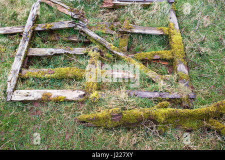 A very old wooden gate and fence laying on the ground on a farm weathered after being outdoors for many years. Stock Photo