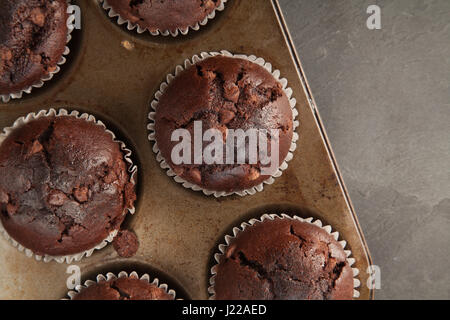 Double Chocolate Muffins on a baking tray Stock Photo
