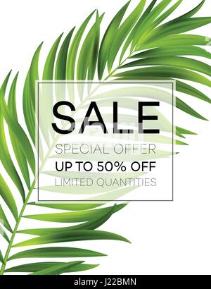 Sale banner or poster with palm leaves and jungle leaf. Floral tropical summer background. Vector illustration Stock Vector