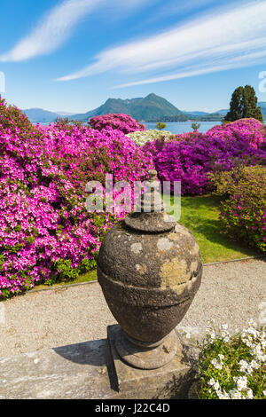 Colourful azaleas with spectacular views at Isola Bella gardens at Isola Bella, Lake Maggiore, Italy in April Stock Photo