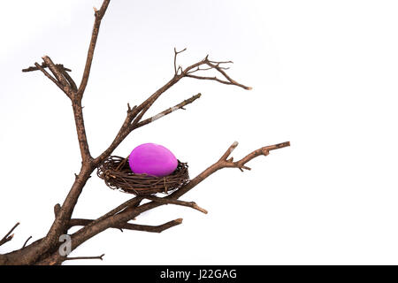 Hot pink Easter egg in a nest on a tree branch. Stock Photo
