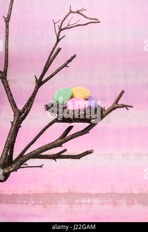 Easter eggs in a nest on a tree branch. Stock Photo